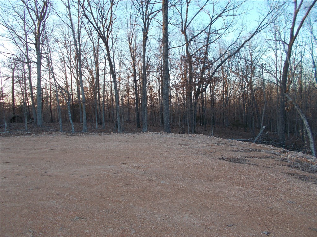Photo 3 of 4 of Tract 1 Oriole land