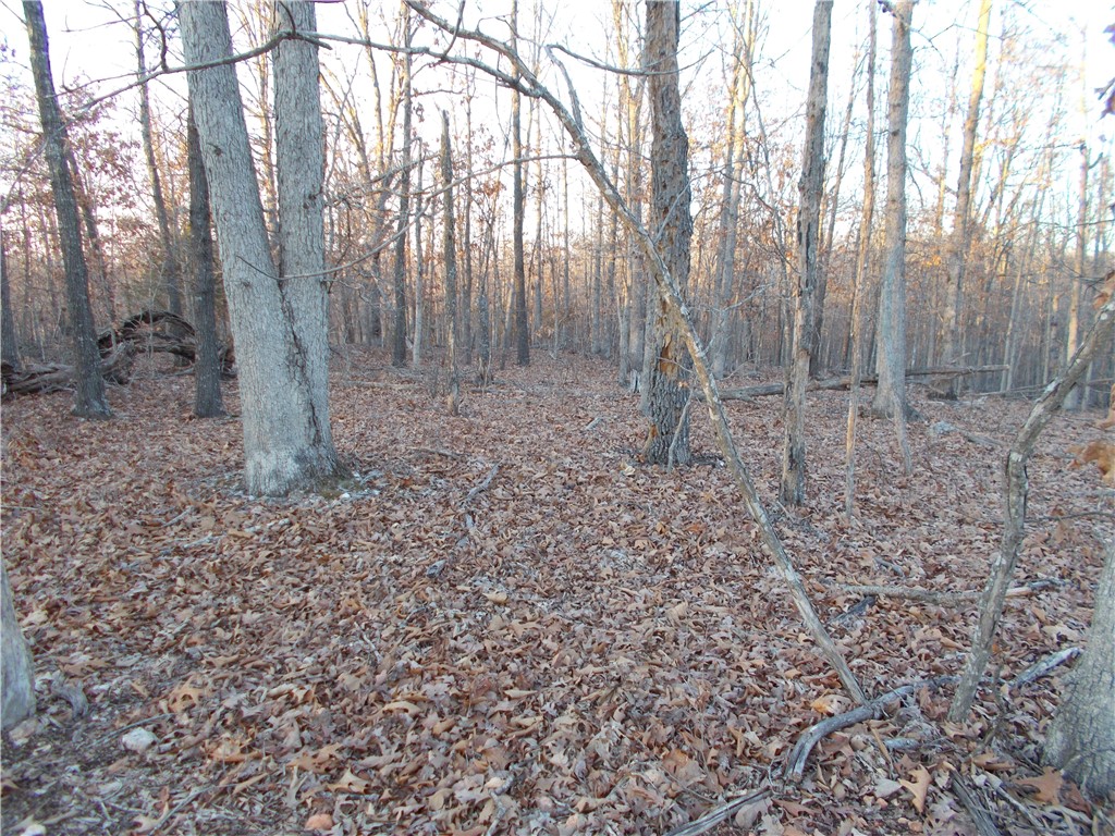 Photo 2 of 4 of Tract 1 Oriole land