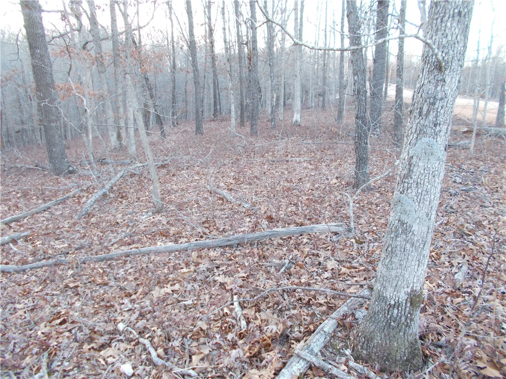 Photo 1 of 4 of Tract 1 Oriole land
