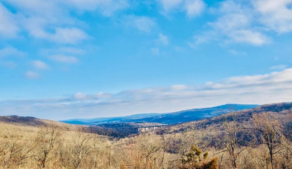 Itās all about the long VIEW and the enchanting sunrises to welcome your day at this 1800 ft. elevated 9.97 acre setting. Yes, there is a big pond stocked with fish, and yes there is 1500 sq. ft. 3 br. 2 ba home with a water tap that is being sold as is. Ductwork is in place for buyer to purchase a new heat pump. Master bedroom has 2 closets plus there is a 3rd closet in the spacious master bath. Less than 2 miles to I49 and the rest of the NW Ar. Additional 26 Acres is available for purchase see ML # 1172442.