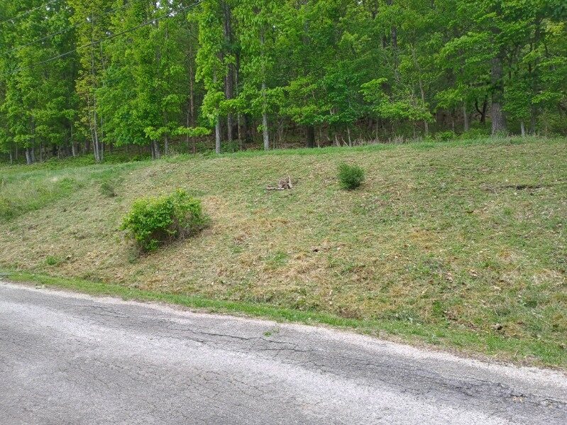 Unit 1 Holiday Island - Land