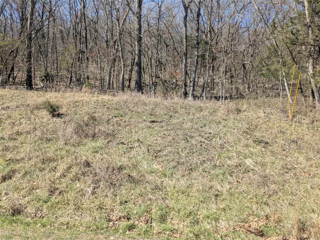 Unit 1 Holiday Island - Land