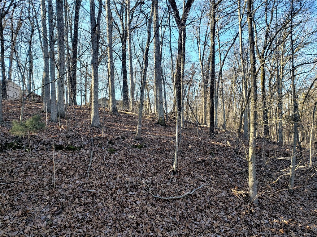 Buildable lot located in Bentonville School District. Short cul-de-sac street, so minimal traffic. Close to Riordan Hall with easy access to HWY 71. Enjoy all that Bella Vista has to offer.