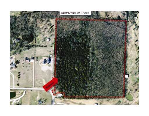 Beautiful, Bank Owned, 44.5 acre tract of wooded land in the desirable area East of Fayetteville. This would be a great property for an estate home(s) or residential development. Near, Bridgewater Estates, Overton Park and other very nice homes.