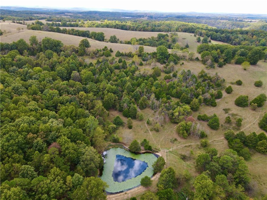 240+/- acres with big views, rugged terrain, and functional agricultural land. Located just 23 minutes from Berryville and 1 hour from Fayetteville. Land consists of about 70 acres of pasture and the remainder in  timber, with an ideal balance of open ground and wooded. Water is abundant, with 10 ponds and multiple year-round springs, including one that once served as the main water source for a residence. A spring-fed creek emerges directly from a cave, creating a serene and magical setting. Two natural caves on-site add geological intrigue, while a well-established trail system winds through the property for ATV riding, horseback adventures, or hiking. Towering rock bluffs frame the landscape, and 360-degree mountain views crown the hilltops, offering breathtaking vistas in every direction. Several barns and outbuildings provide utility for farming, storage, or homesteading, while fencing and cross fencing support immediate use for livestock. This land has everything—pasture, water, timber, and elevation.
