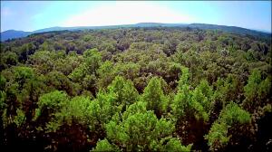 Spring Mountain Ranchette - Residential