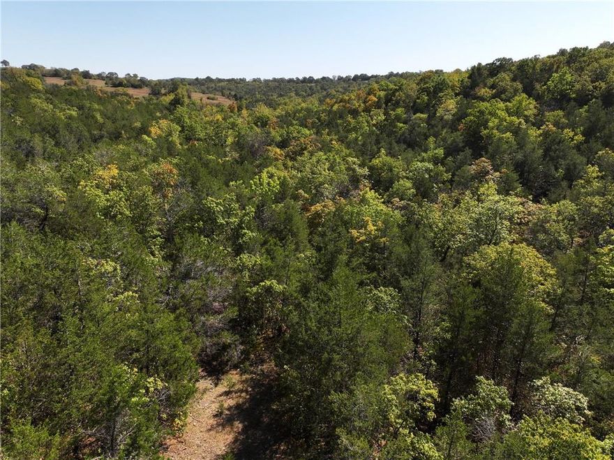 Secluded 40-acre tract located between Omaha and Lead Hill in Boone County, Arkansas. This heavily wooded property features mature timber, abundant wildlife, and the natural beauty the Ozarks are known for. Ideal for recreational use, hunting, or a private retreat, with excellent habitat supporting deer, turkey, and small game. Multiple potential sites for a cabin or campsite. Access is not currently established; buyer to work with the county to obtain an easement. A great opportunity to own affordable acreage in a desirable area. There is 230 acres being offer in front of this property see MLS # 1344025