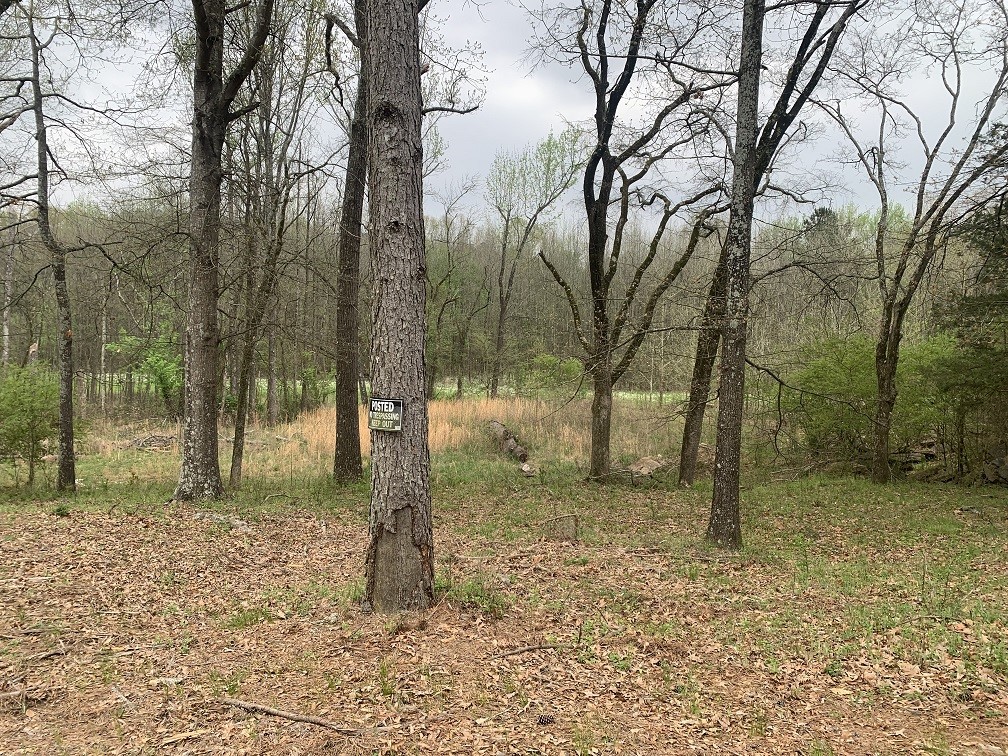 Lots of possibilities for this approximately 3.30 acres of vacant land located within the Russellville City limits and across Waterworks Road from the Russellville Country Club. The property boundary includes a part of Bakers Creek. There used to be a mobile home on the property. There's room out of the floodway to build your new house. Some of the non-productive trees could be removed to make way for nut & fruit trees and a variety of vineyards. Bakers Creek flows into Lake Dardanelle where you will find excellent fishing and water sports year round. A natural gas distribution pipeline and a Russellville water system pipeline run thru the property. If you want it for commercial purposes, it's a great location for a billboard or storage units. Call today for an appointment to see it.