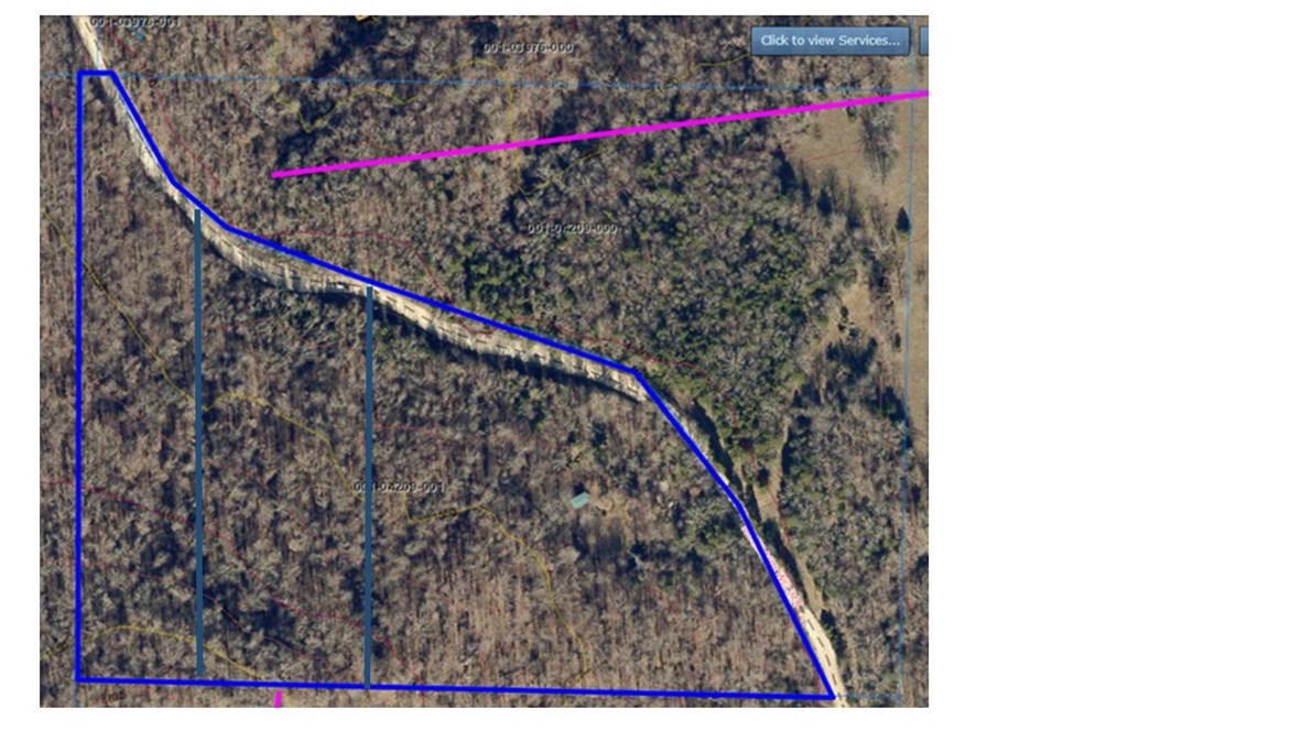Nice building site on secluded 10 AC track. Well Needed Septic Needed. Two 5 AC tracks from lot line split. OWNER FINANCING A POSSIBILITY.