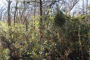 Photo 1 of 2 — 275 W 22nd Street, Fayetteville, AR 72701