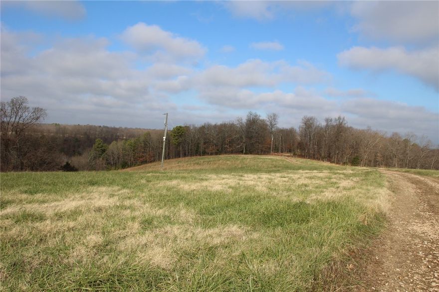 Discover the perfect blend of pasture, woods, and water on this 58.26-acre property located just minutes from beautiful Bull Shoals Lake. This versatile land offers 23 acres of open pasture with the remainder in mature woods, ideal for livestock, recreation, or building your dream home.  A 24x56 start of a new home with a well already in place provides a great start for a cabin, storage, or a getaway base. The property is perimeter fenced and includes two ponds, adding both charm and functionality for animals or wildlife.  Whether you’re looking for a private homestead, hunting retreat, or a peaceful escape near the lake, this property offers endless potential in a prime location.