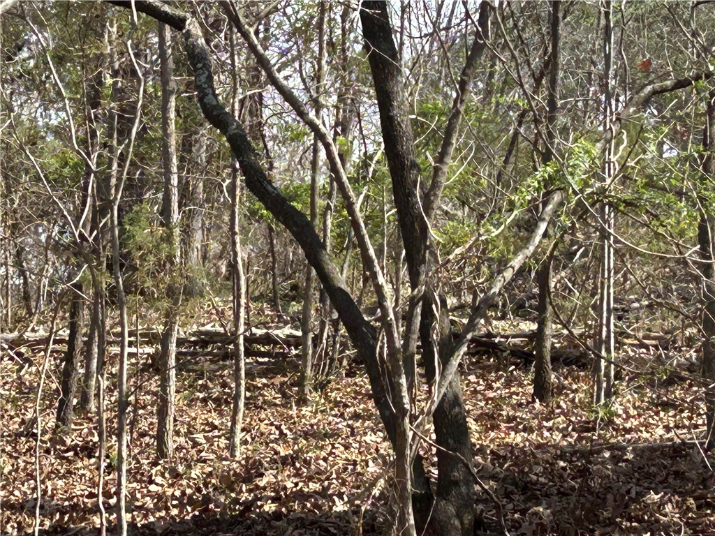 Hickory Heights - Land