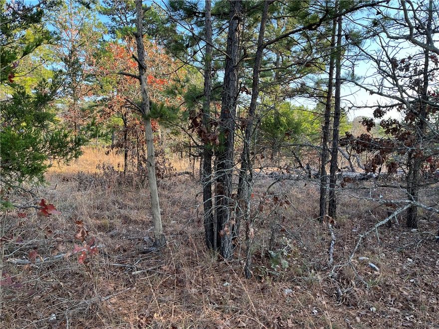 Wonderous views with a great price tag for this 14.65 acres! This wooded parcel opens to glorious views of the Ozark Mtns just minutes from downtown historic Eureka Springs, Beaver Lake and Table Rock Lake. Building site and driveway already cleared and ready for your dream home with a view, barndominium or shophouse! Roughly 1000ft of road frontage. Electric at the street. Acreage estimated based on public recs- see attachments