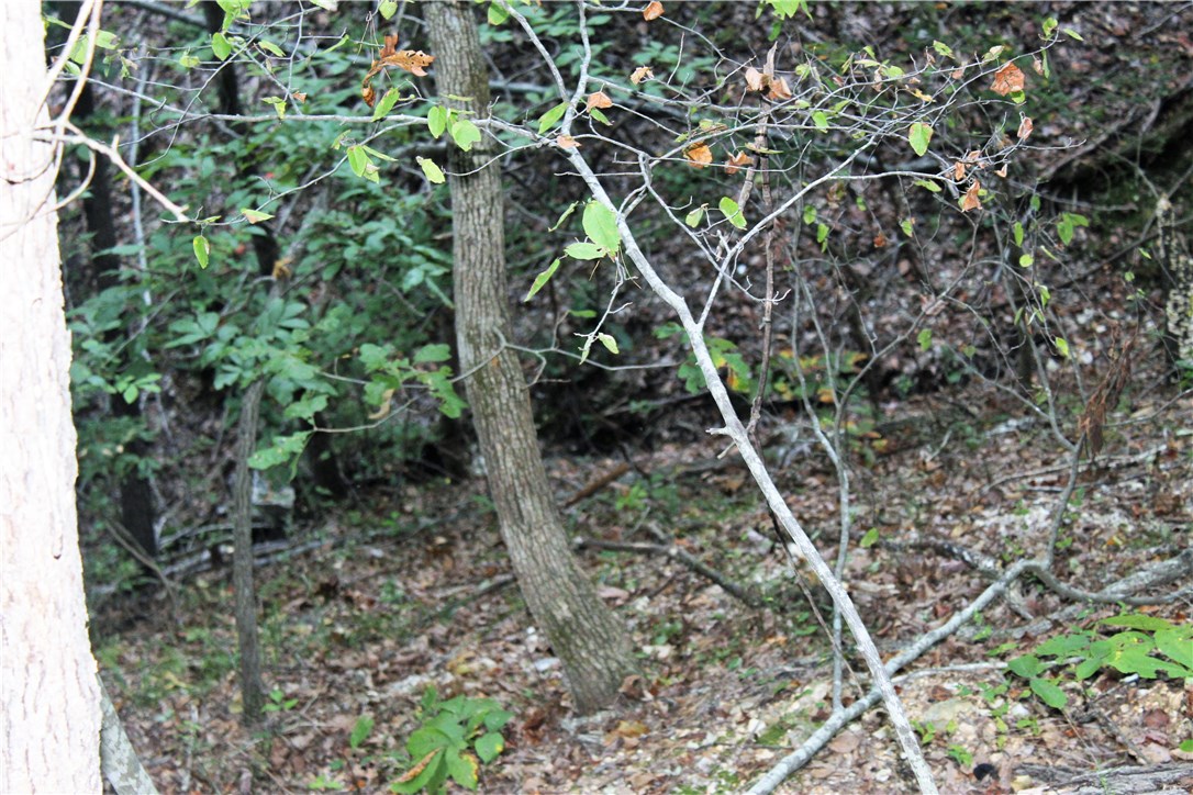 Hidden Valley Rnch U2 - Land