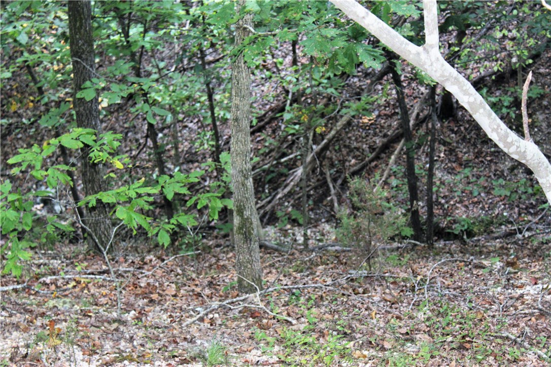 Hidden Valley Rnch U2 - Land