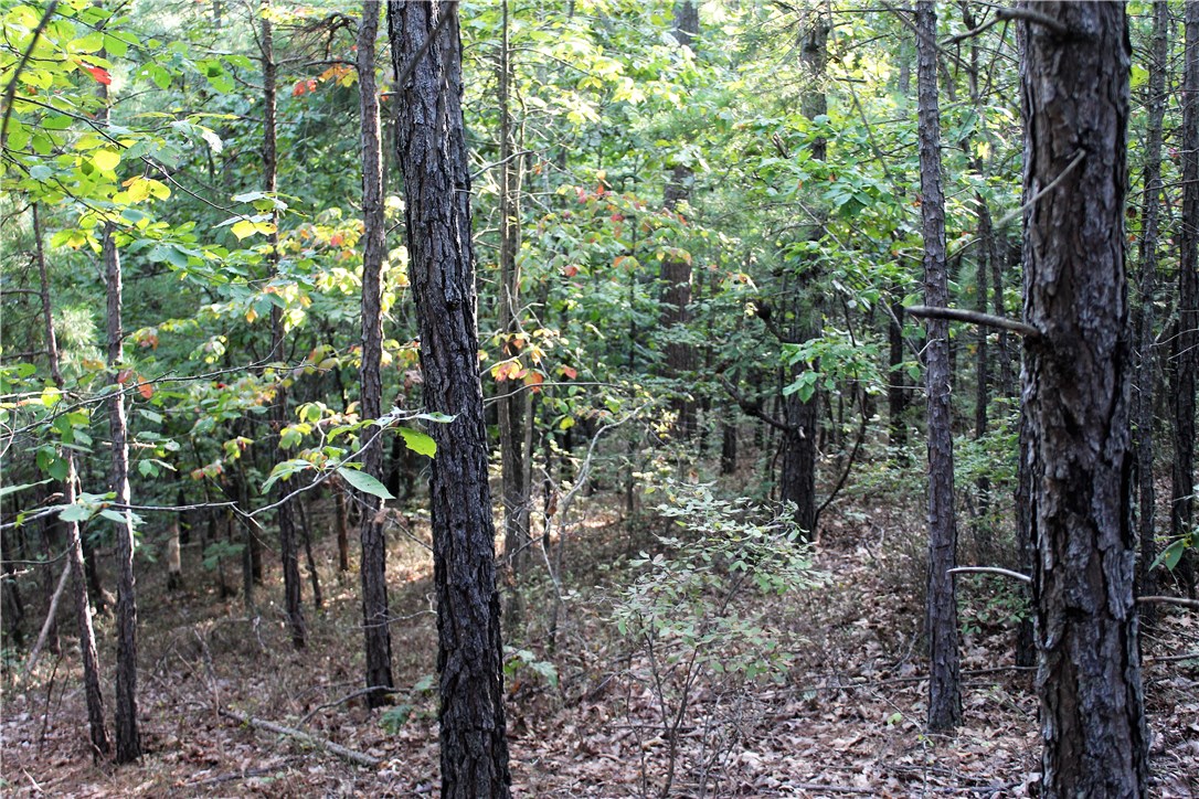 Hidden Valley Rnch U2 - Land