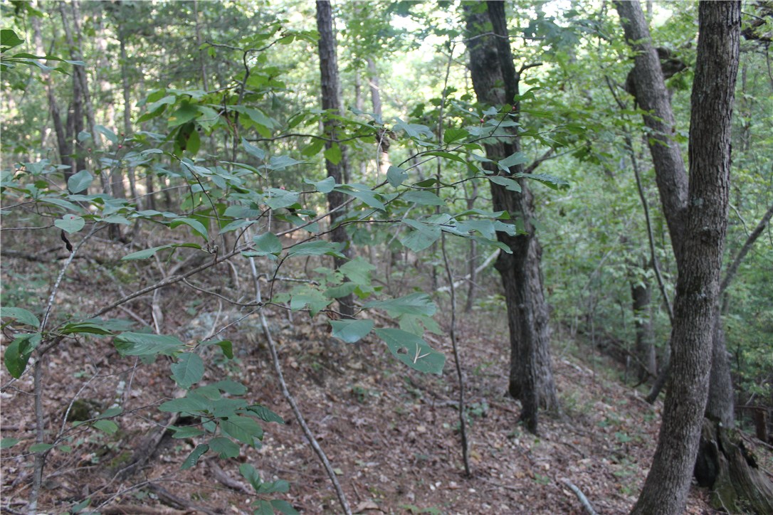 Hidden Valley Rnch U2 - Land