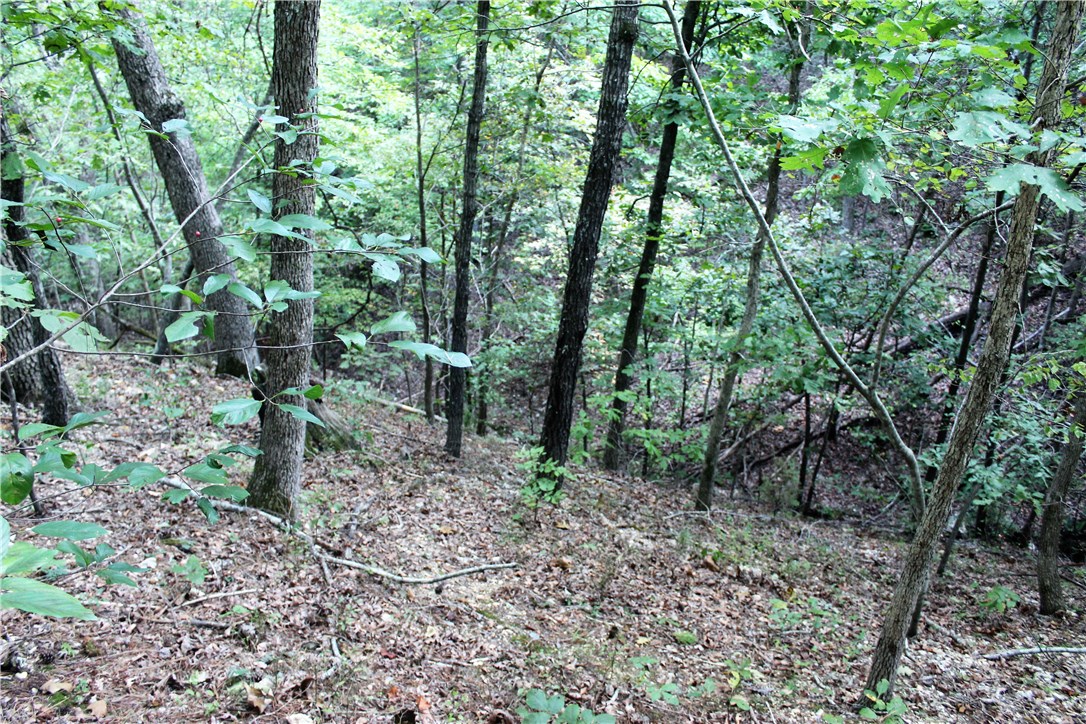 Hidden Valley Rnch U2 - Land