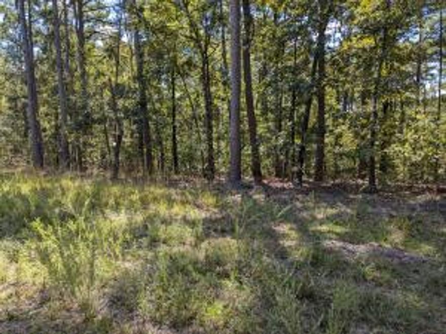 All gravel roads.  Colorado Drive is a US Forestry Road.  If there is not a permanent easement recorded from the 1930's an easement will have to be obtained from US Forestry.  This usually comes with a fee every three to five years.