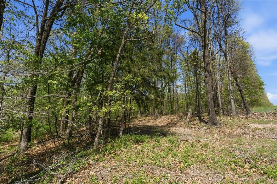 Development potential on 40 acres in a Bentonville address, with access from Bella Vista, only 4 minutes from the new OZ Trails Bike Park, set to open in 2026. Use for building your Benton County dream home, with potential to split or develop. Lots of options on this conveniently located parcel!