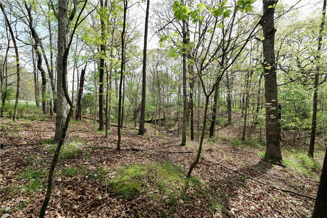 Ozark Estates - Land