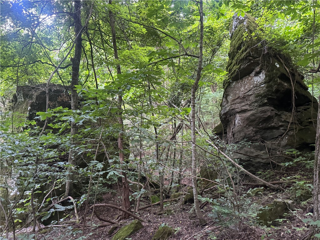 Discover 81.33 acres of hidden Ozark hardwood forestland tucked away in the Low Gap area of Newton County. This untouched and undeveloped property offers the perfect blend of privacy and natural beauty, just minutes from the Buffalo National River, historic Boxley Valley, elk viewing areas, waterfalls, hiking trails, and the Jasper square. From the property, enjoy sweeping views into the rugged wilderness of the Ozark Mountains. Scattered throughout are several flat building spots, ideal for your dream cabin, homestead, or investment retreat. A legal easement provides access, with rural water available at the county road. Remnants of an old homestead and barn add to the propertyās character and history. Whether youāre looking for a secluded getaway, recreational land, or a place to build, this acreage offers endless opportunity in one of the most sought-after areas of the Ozarks.