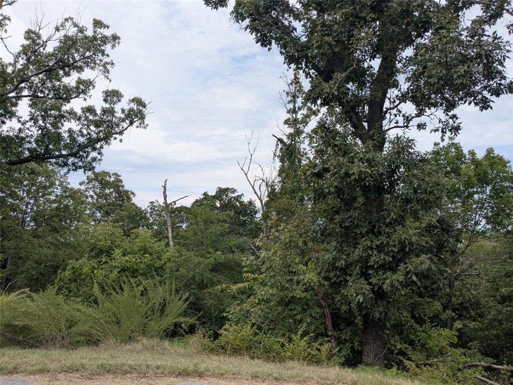Unit 13 Holiday Island - Land