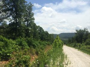 GREAT BUY!! Nice building site with a nice view and large trees. Electric, Rural water, phone, and Natural gas utilities are available per owner.