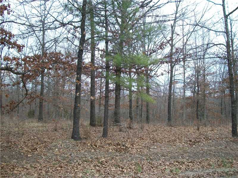 Great place to build your dream home. Walking distance to Withrow Springs State Park! Public water and electric available. Wooded lots with hwy frontage.