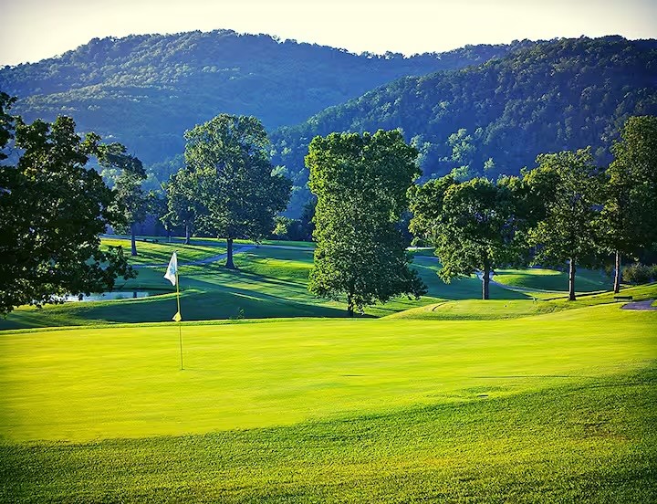 Holiday Island - Residential