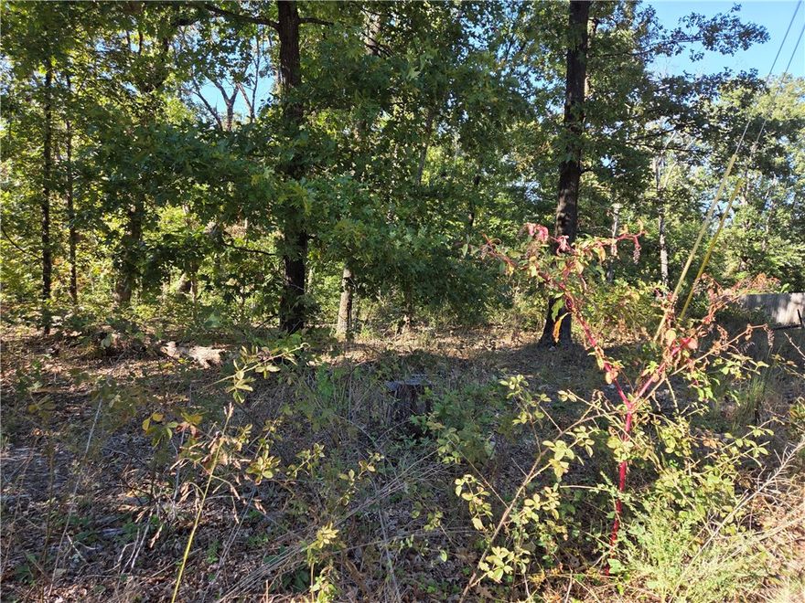 In the southern end of Bella Vista, short distance to Bentonville, close to new bike lift area in Bella Vista. Many new homes being built in this lovely part of Bella Vista. Country feel yet close to many amenities. Beautiful area ready for your dream home. Wooded area views nestled on left side of culdesac. Mostly new builds in this area, highly desired area of BV.