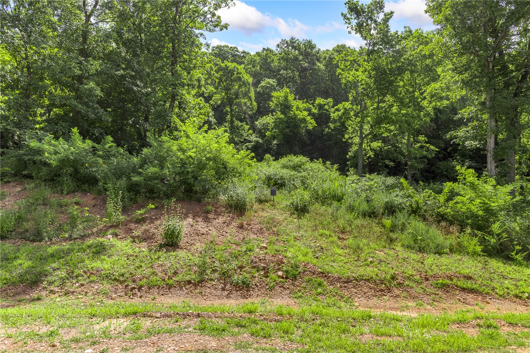 Round Mountain Estates - Land