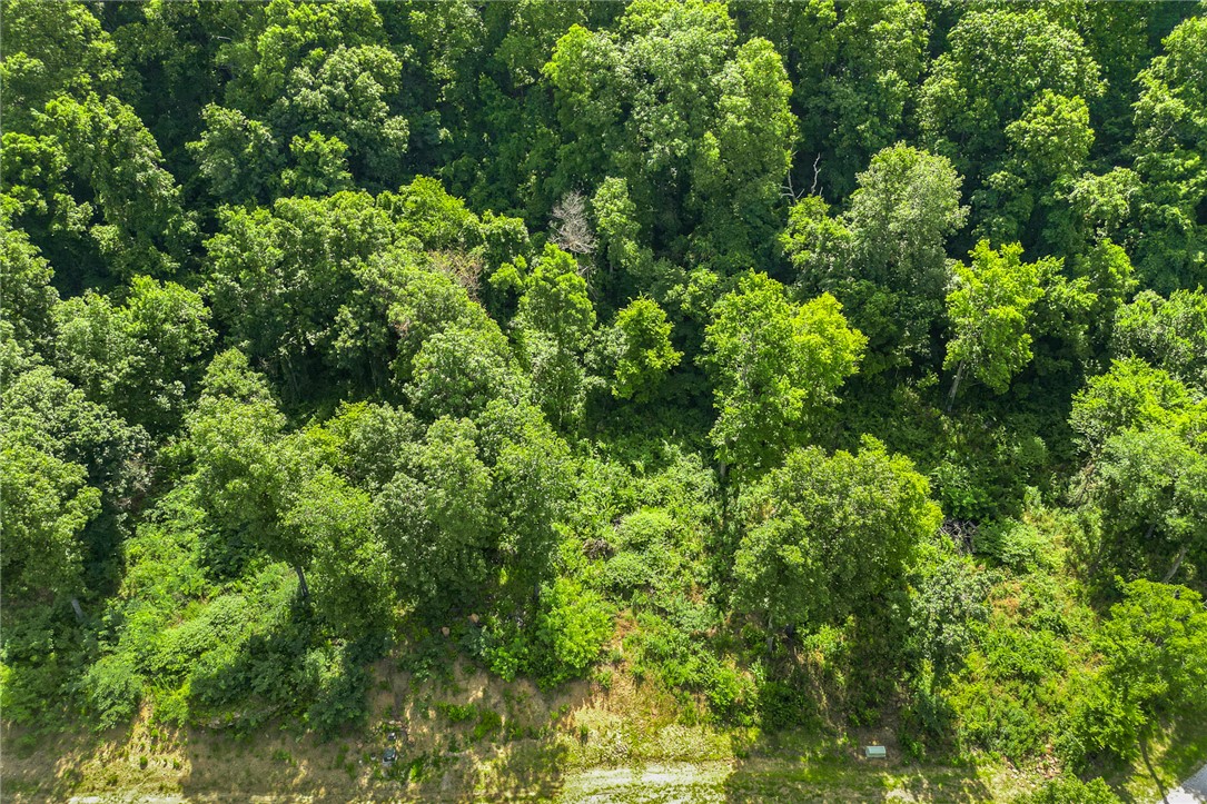 Round Mountain Estates - Land