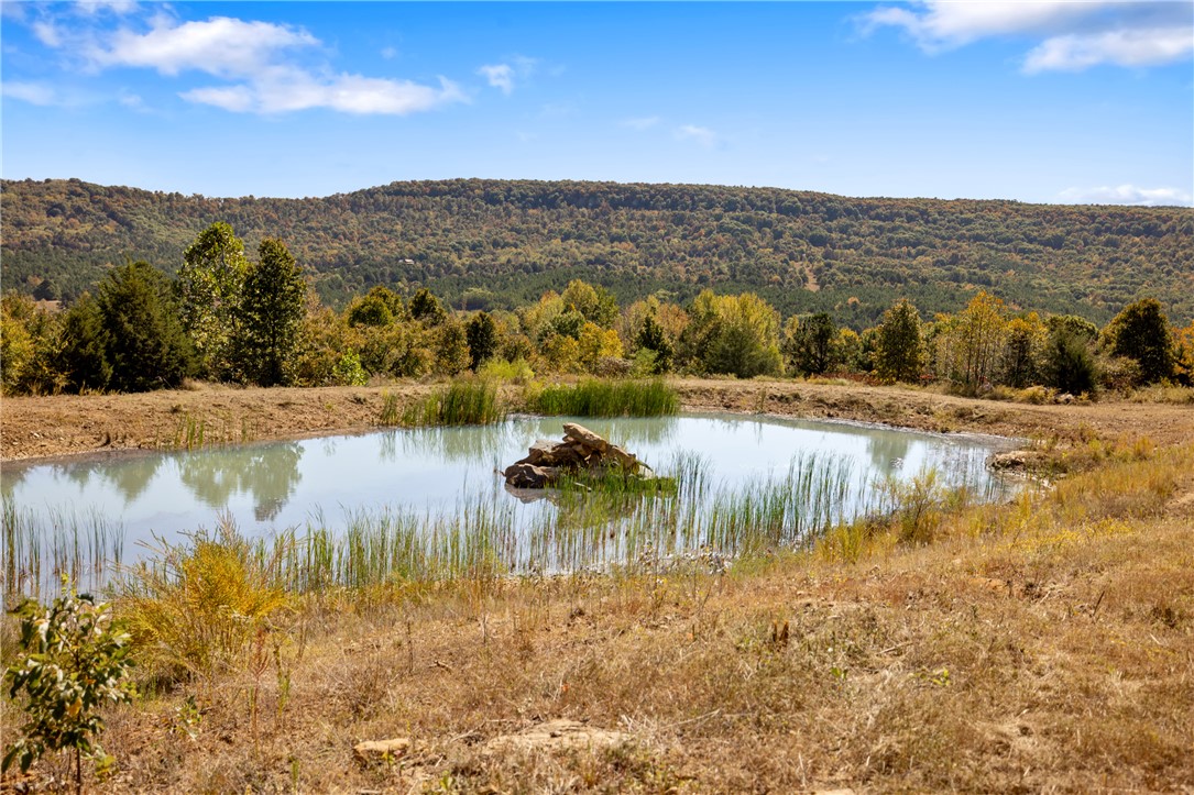 Round Mountain Estates - Land