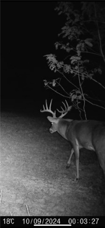 Other Subdivision - Land