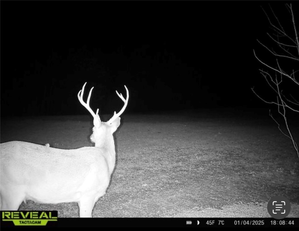 Other Subdivision - Land