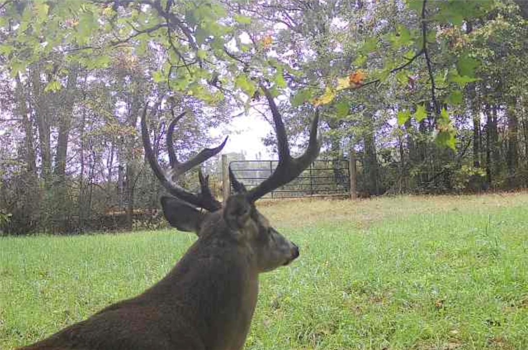 Other Subdivision - Land