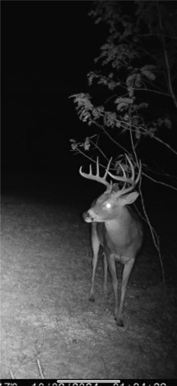 Other Subdivision - Land