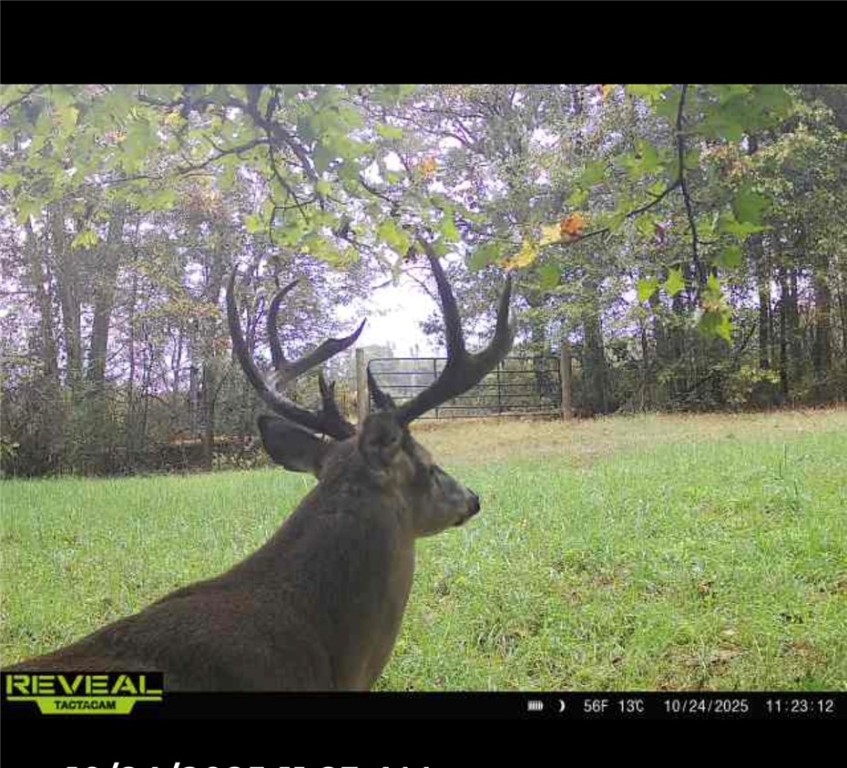 Other Subdivision - Land