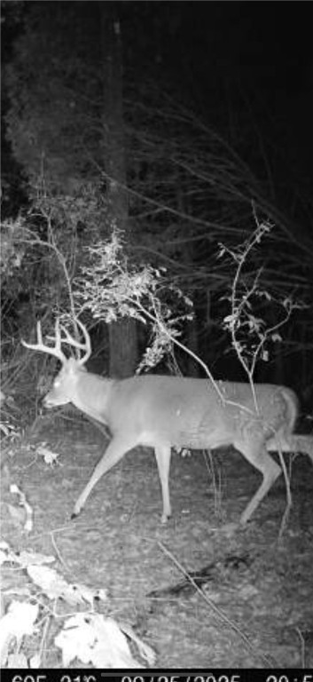 Other Subdivision - Land