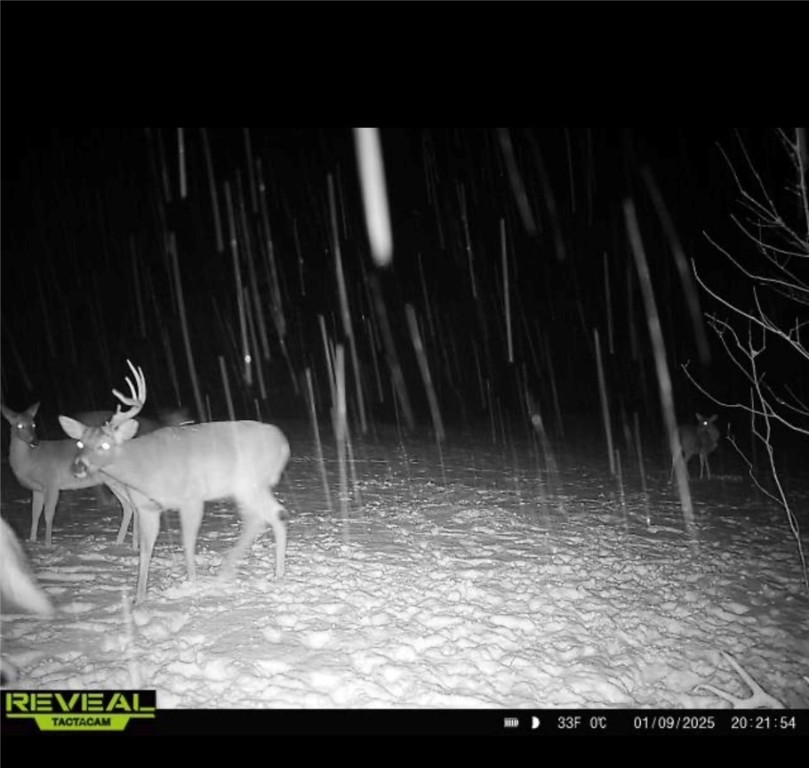 Other Subdivision - Land