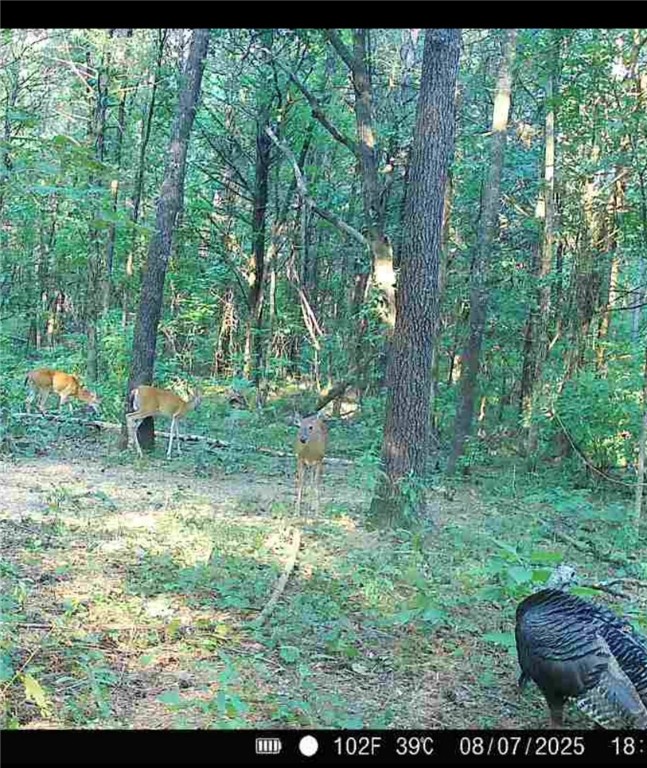 Other Subdivision - Land