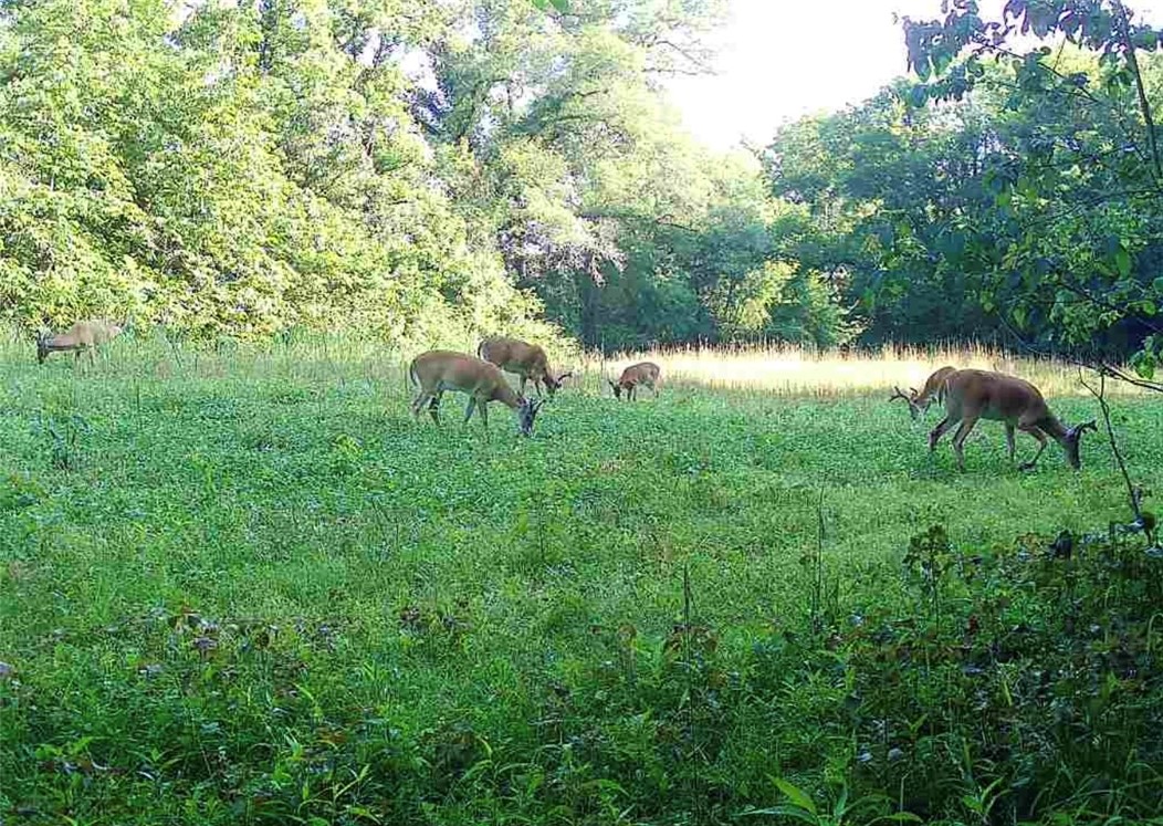 Other Subdivision - Land