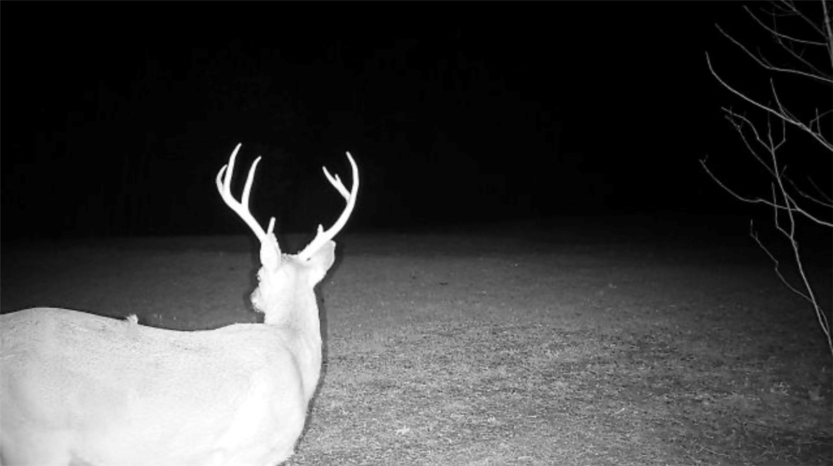 Other Subdivision - Land