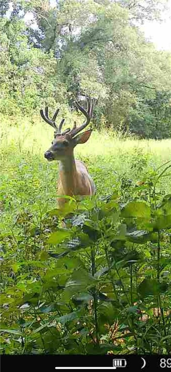 Other Subdivision - Land