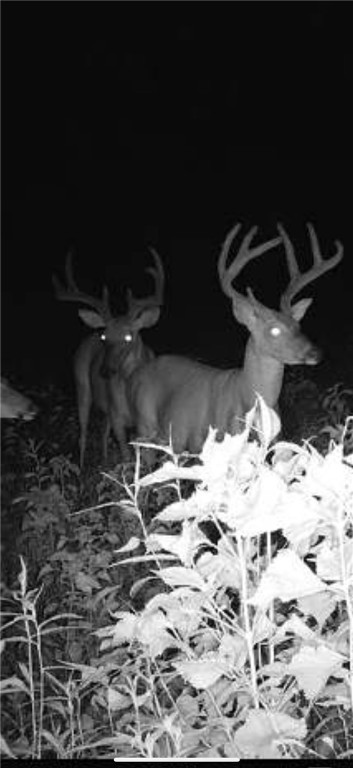 Other Subdivision - Land