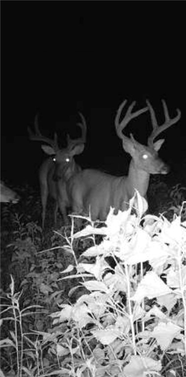 Other Subdivision - Land