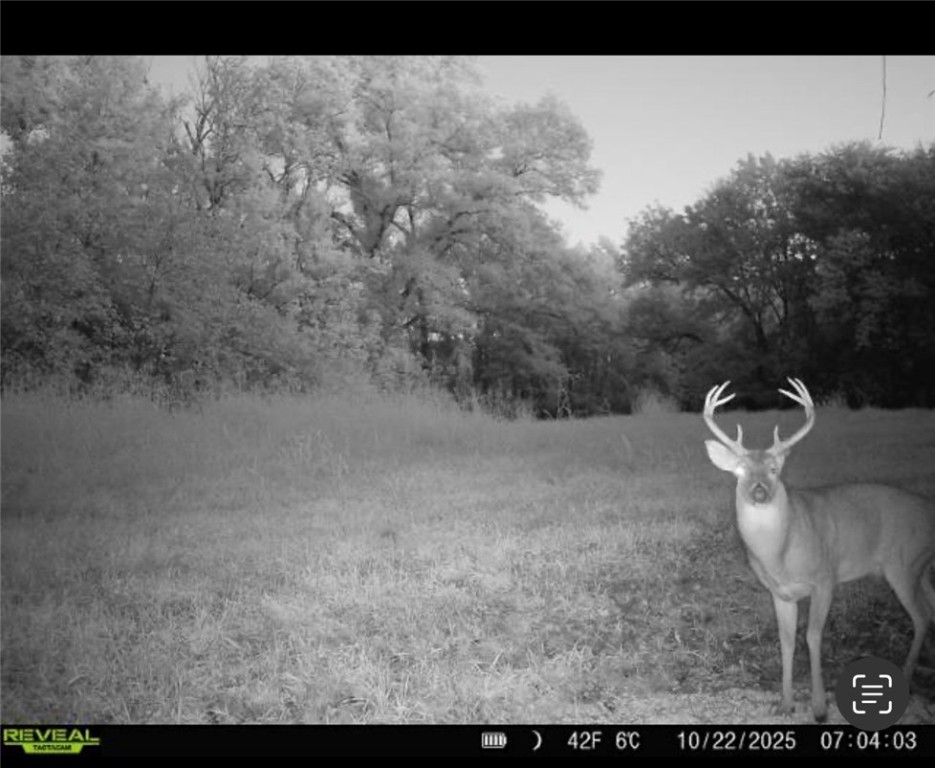 Other Subdivision - Land