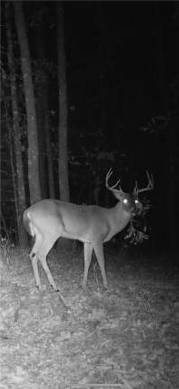 Other Subdivision - Land