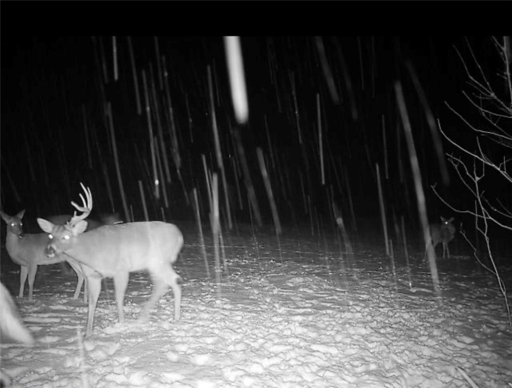 Other Subdivision - Land